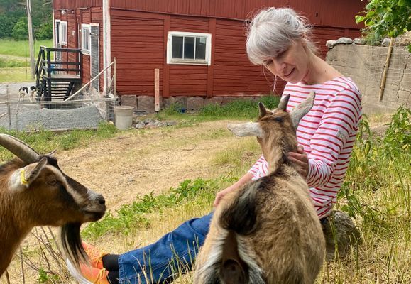 Stuga på vacker bondgård | Öppna vyer & nära sjön - Bild 23