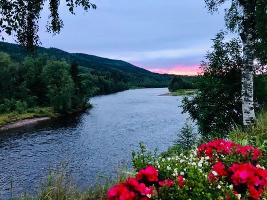 Mysig stuga vid Klarälven i Nordvärmland 🫎 - Bild 7