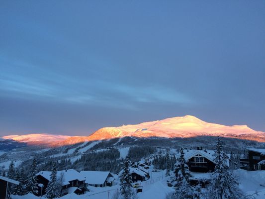 Åre Björnen - Bild 21