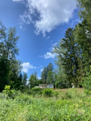 Lake House; Koppla av i naturen, djurvänligt - Bild 12