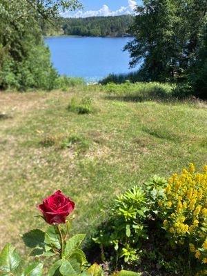 Lake House; Koppla av i naturen, djurvänligt - Bild 8