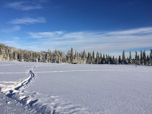Åre Björnen - Bild 23