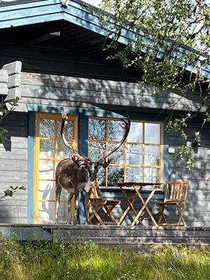 Charmig fjällstuga i Lofsdalen, Härjedalen - Bild 18