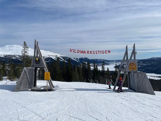 Superfräscht i Tegefjäll, ski-in/ski-out - Bild 12
