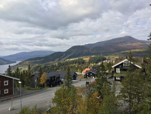 Åre Björnen - Bild 24