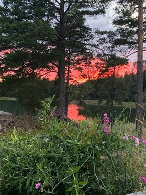 Mysigt fritidshus med egen brygga - Bild 17