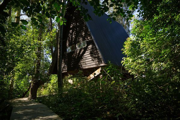 Unikt A-hus med djungelkänsla - Bild 12