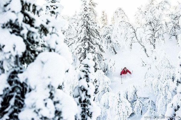 Superfräscht i Tegefjäll, ski-in/ski-out - Bild 11
