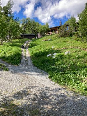 Trivsam stuga i natursköna Fjällnäs! - Bild 22