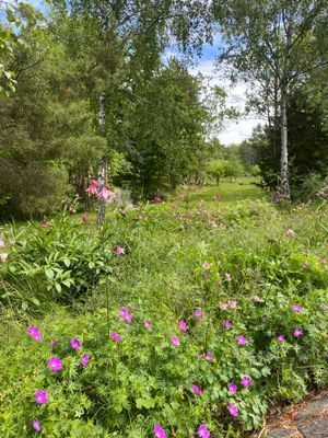 Mysig stuga på Ytterö. - Bild 16