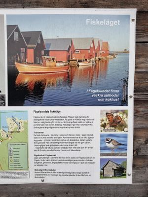 Fågelsundets fiskeläger