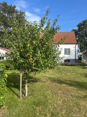 Familjehus på sydkusten, Bingsmarken, nära Ystad