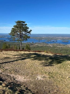 Röd stuga med vita knutar - Bild 47