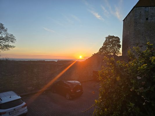 Visby innerstad, Gotland v 29, hund ok - Bild 37