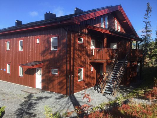 Åre Björnen - Bild 25