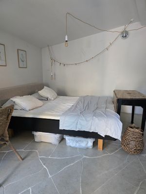 Visby innerstad, Gotland v 29, hund ok - Bild 32
