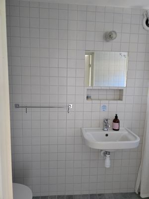 Visby innerstad, Gotland v 29, hund ok - Bild 36
