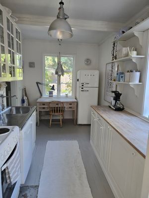 Visby innerstad, Gotland v 29, hund ok - Bild 6