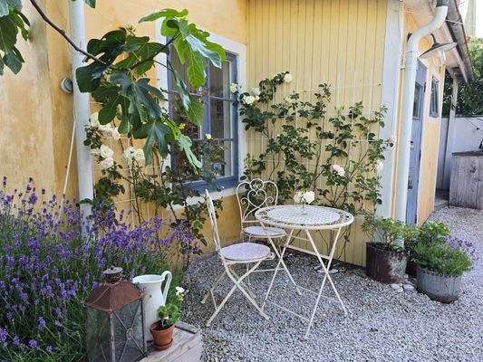 Visby innerstad, Gotland v 29, hund ok - Bild 25