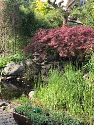 Bild 4 på Vackert sekelskifteshus