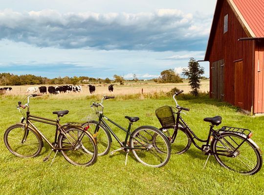 Ardhem - gårdsidyll nära Ljugarn i vackra Ardre - Bild 15