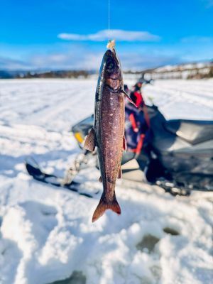 Unik fjällgård i Åkersjön med utsikt över sjön - Bild 28