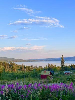 Unik fjällgård i Åkersjön med utsikt över sjön - Bild 23