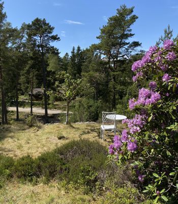 Timbra Utö. Badrocksavstånd till fin sandstrand - Bild 8