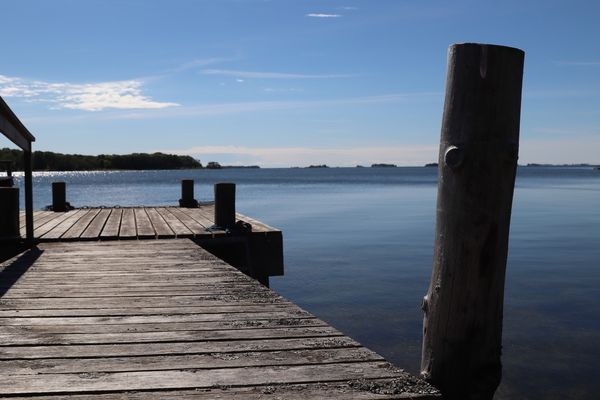 Stort sjöställe i Stockholms skärgård