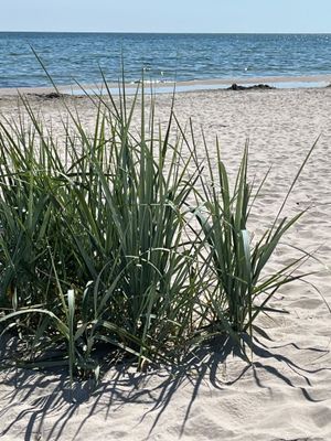 Stranden som finns 4km bort