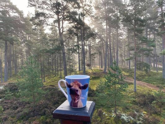 Vinterboende i hus Äspet Åhus sep 2025 - maj 2026 - Bild 27