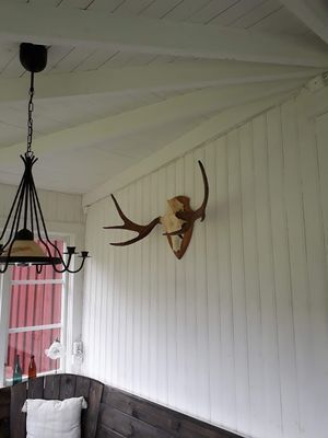 Idyllisk stuga-torp, med vedeldad bastu vid sjön - Bild 18