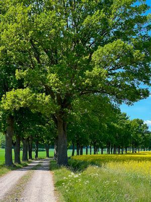 Ängtorp 1800-talet - Bild 25