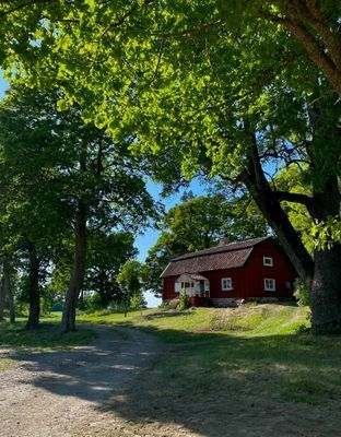 Ängtorp 1800-talet - Bild 27