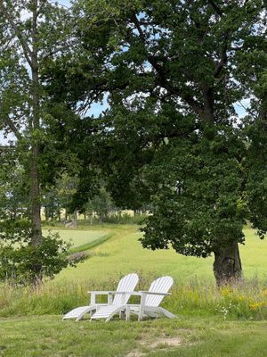 Ängtorp 1800-talet - Bild 29