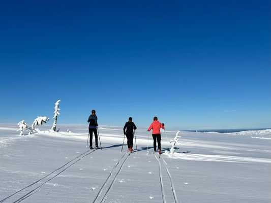Timrad sälenstuga - Bild 19