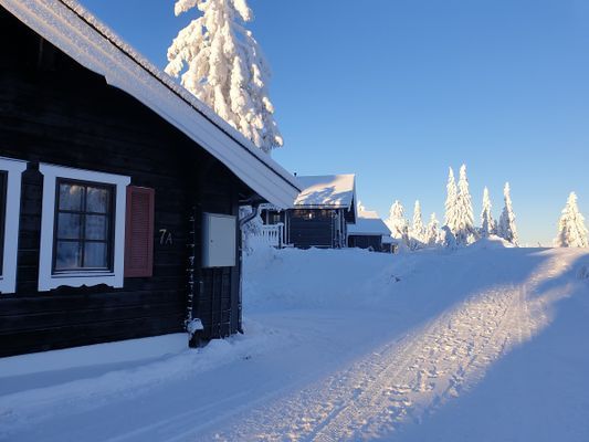 Sälen, Högfjället, bastu, kamin, wifi, året om - Bild 26