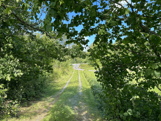 Stuga i Grisslehamn - Bild 6