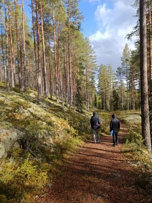 Sjönära direkt vid cykelleder och längdspår! - Bild 12