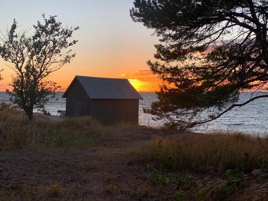 "Lilla Solhem" charmig stuga 150m från havet - Bild 24