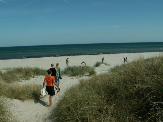 Stuga i Sandby,  nära havet - Bild 10