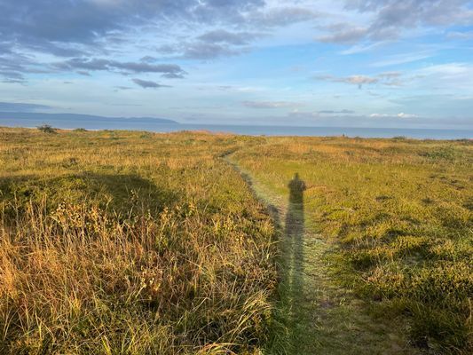 Stort strandnära sommarhus med härlig trädgård - Bild 62