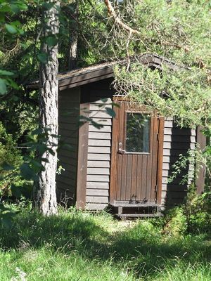 Stuga i tallskog mitt på Gotland - Bild 13