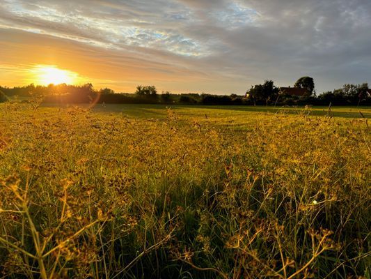 Lantlig kalkstensgård nära både Tofta och Visby - Bild 15