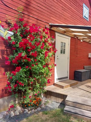 Sommartorp uthyres