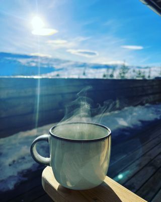 Stuga på gränsen till kalfjället - Bild 8