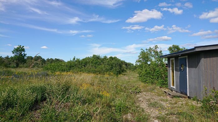 Lugnt naturskönt i Rute, nära Furillen och Fårö - Bild 7