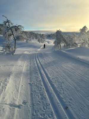 Modern fjälldröm Direkt vid pist, park & längdspår - Bild 18