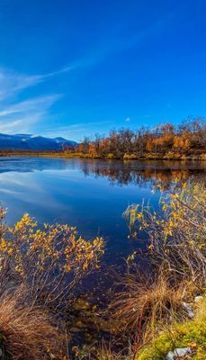 Wilderness svit - Bild 6