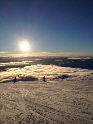 Mysigt fjällboende i Åre Björnen - Bild 24